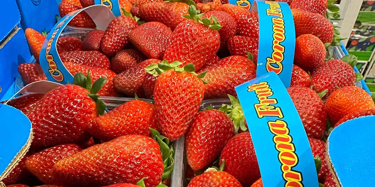 Fragole, frutti di bosco e ananas: ecco i protagonisti della Pasqua